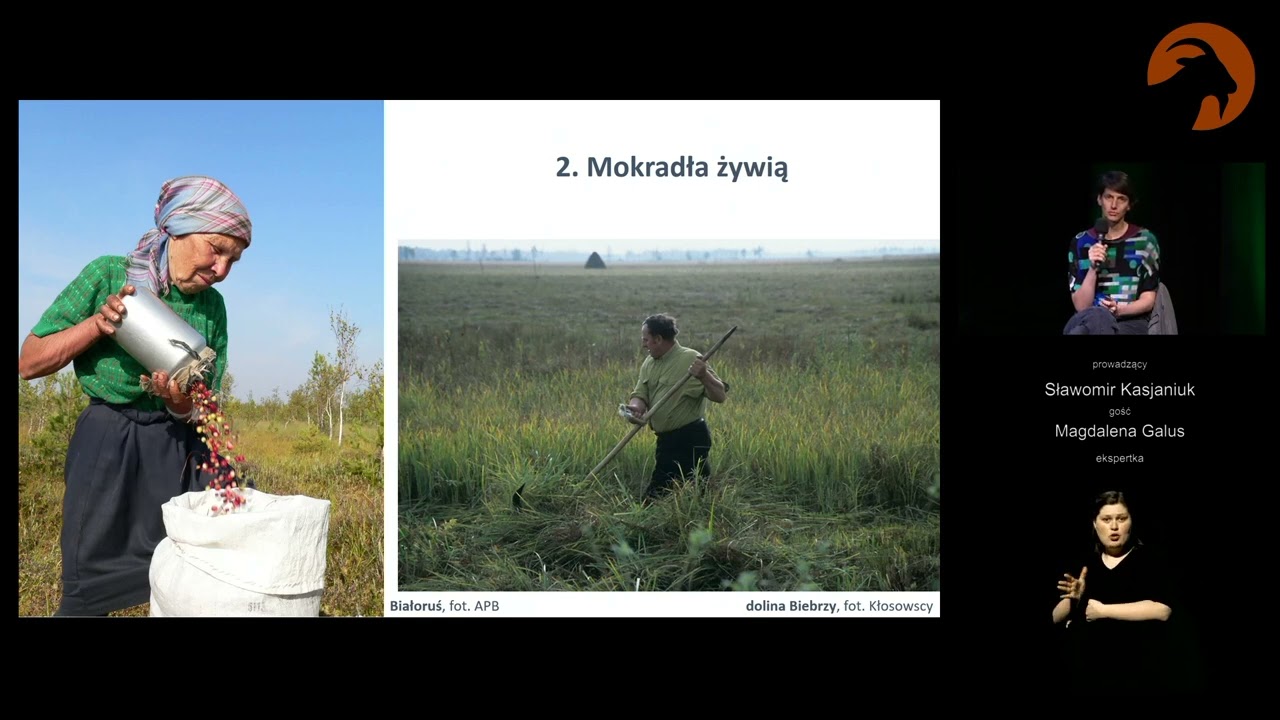 Dlaczego chronimy mokradła / spotkanie z cyklu Przyrodniczy wtorek z ekspertką