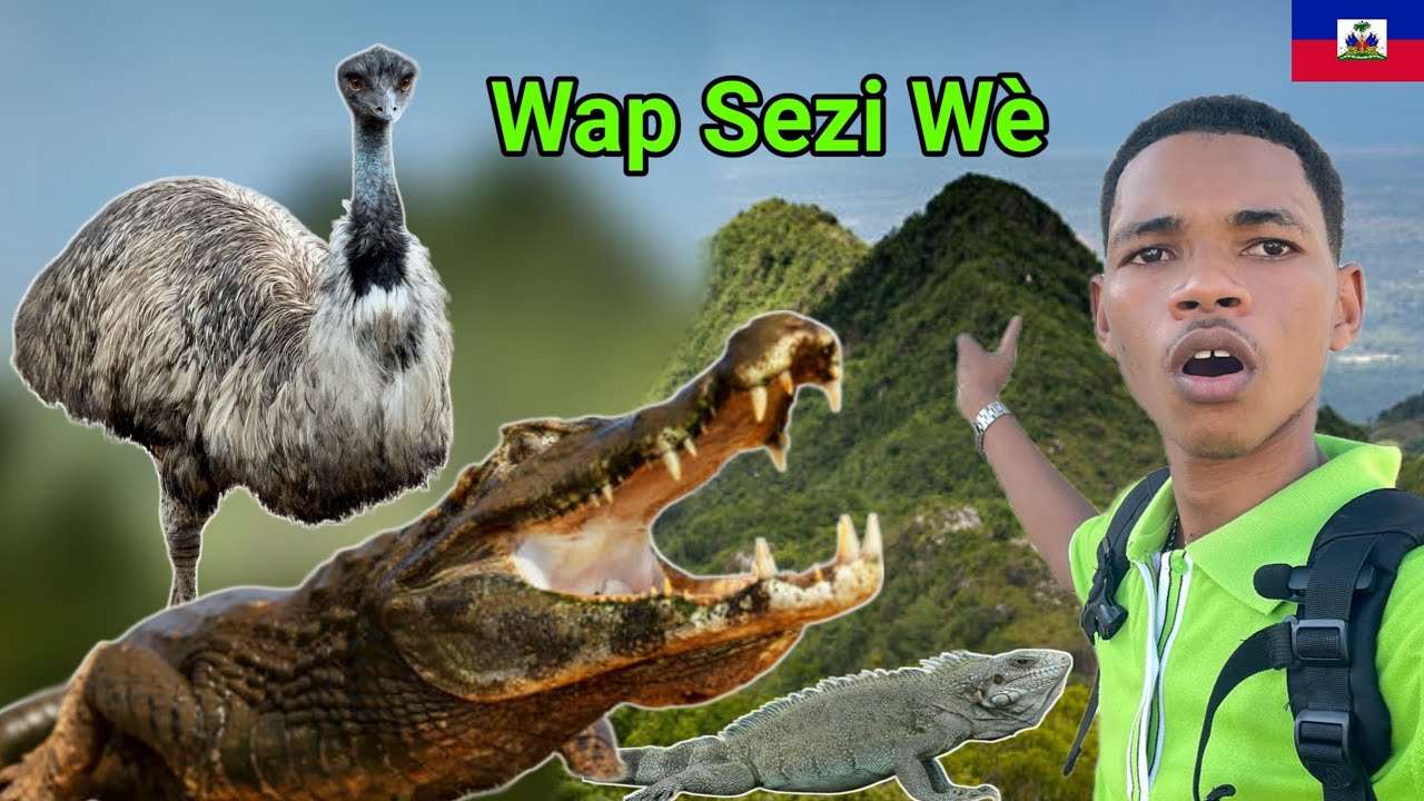 Mwen Dekouvri Caïman Ak Plizyè Lòt Gwo Bèt An Haïti 🇭🇹