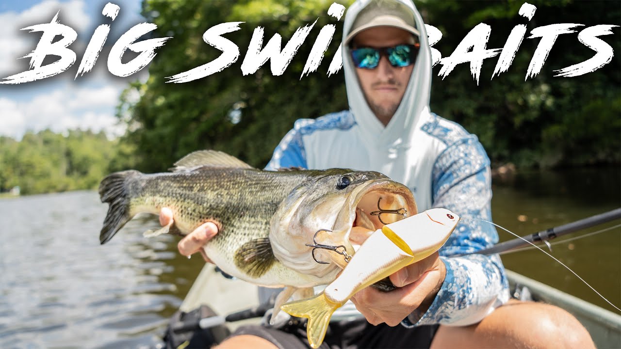 BIG Swimbait Fishing for BIG Bass