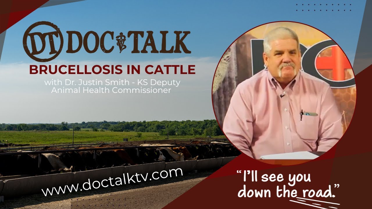 DocTalk Ep 233 - Brucellosis in Cattle