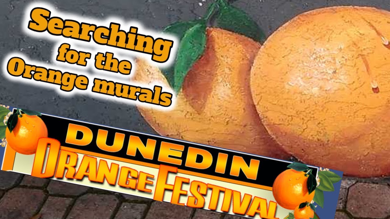 Searching for the orange murals and Orange Festival in Dunedin