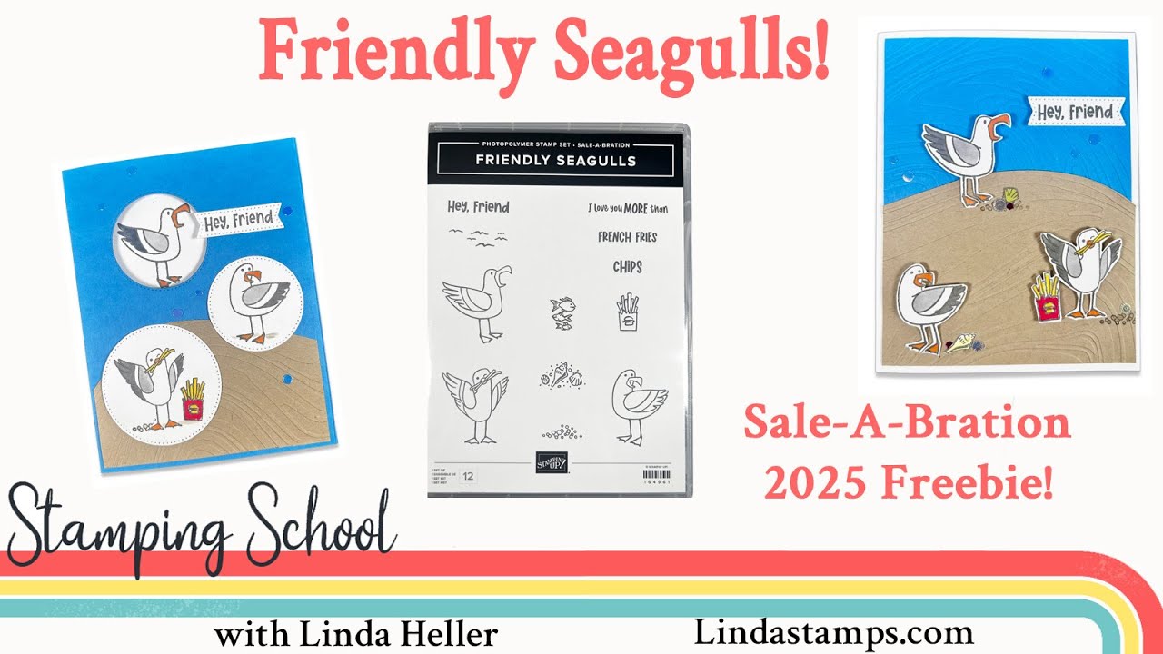 Friendly Seagulls
