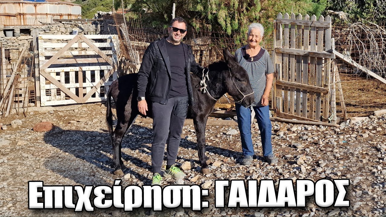 Πώς μεταφέραμε ένα γαϊδούρι στην κυρά Ρηνιώ που μένει μόνη της στο νησί της Κινάρου