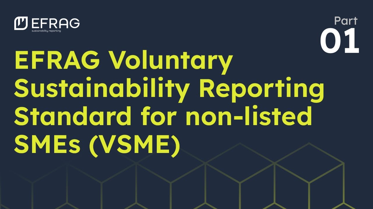 Voluntary Sustainability Reporting Standard for non-listed SMEs (#VSME) - Part 01
