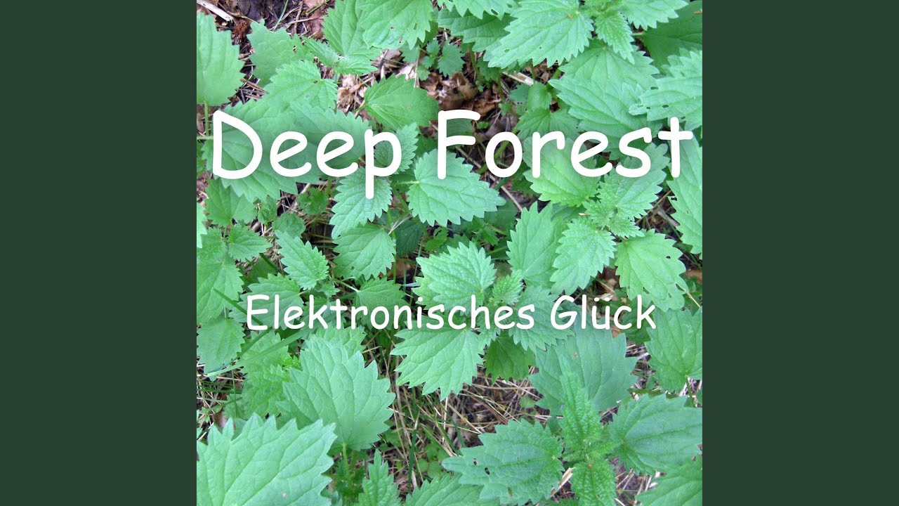Deep Forest