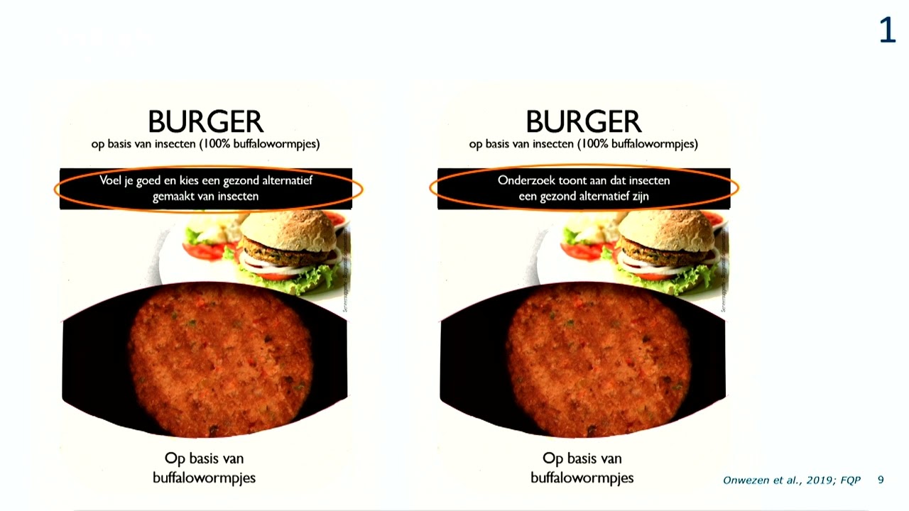 'Vlees' eten in de toekomst | Onderzoeker Marjolein Onwezen over de toekomst van de vleesindustrie