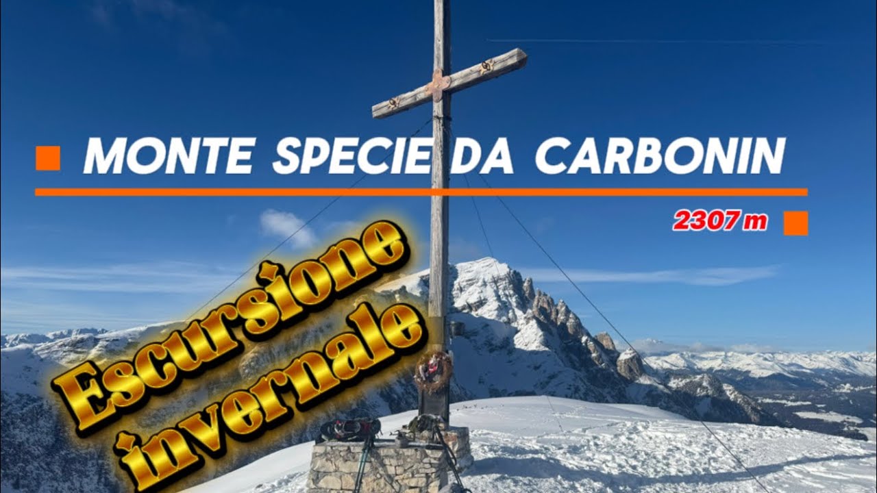 Monte Specie, parco di Fanes Sennes e Braies da Carbonin