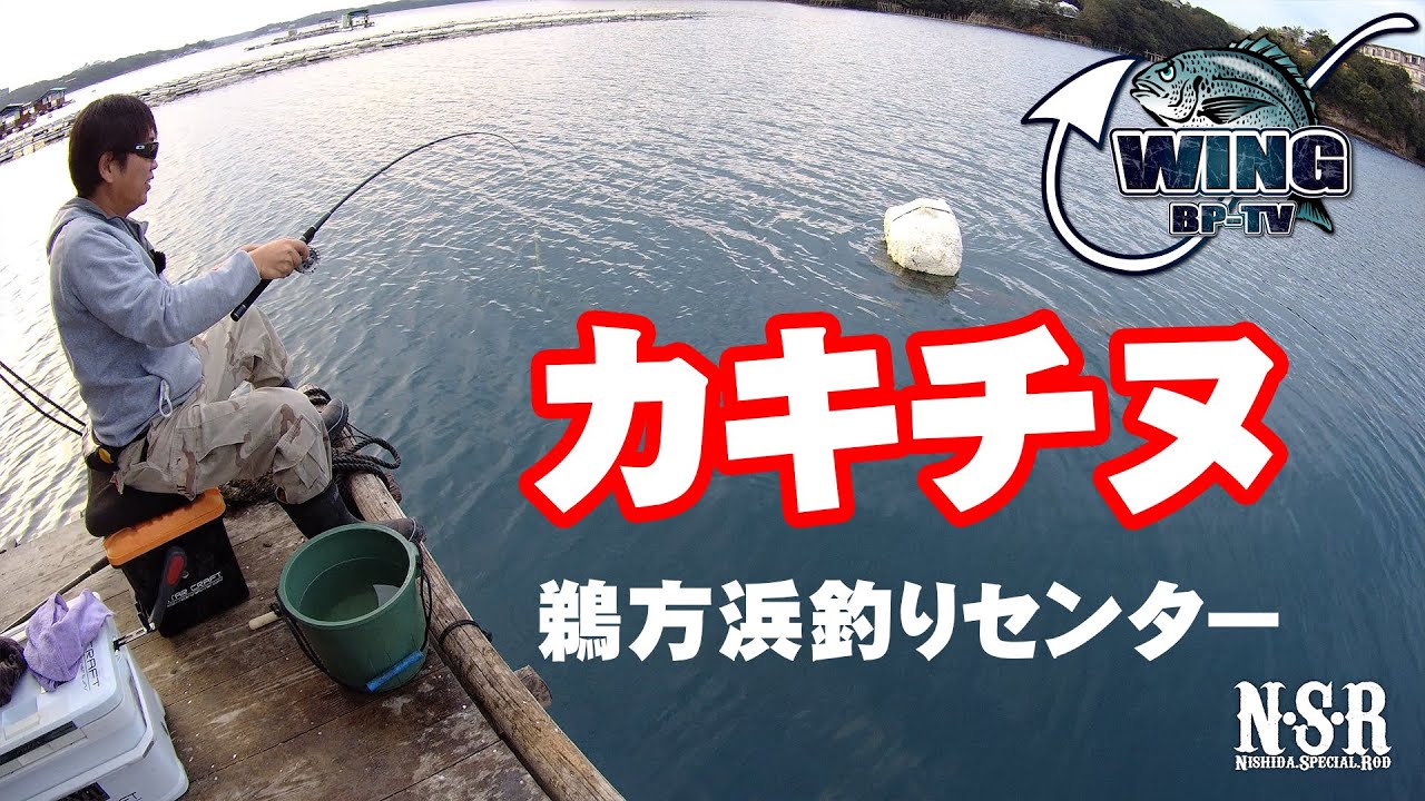 カキチヌ　鵜方浜釣りセンター