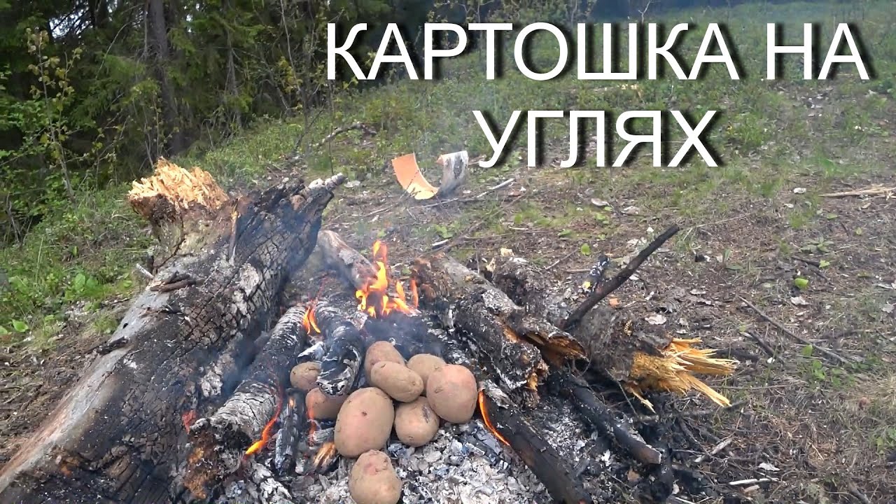 КАРТОШКА НА КОСТРЕ! ВКУСНЯТИНА! ПРИРОДА КОМИ!