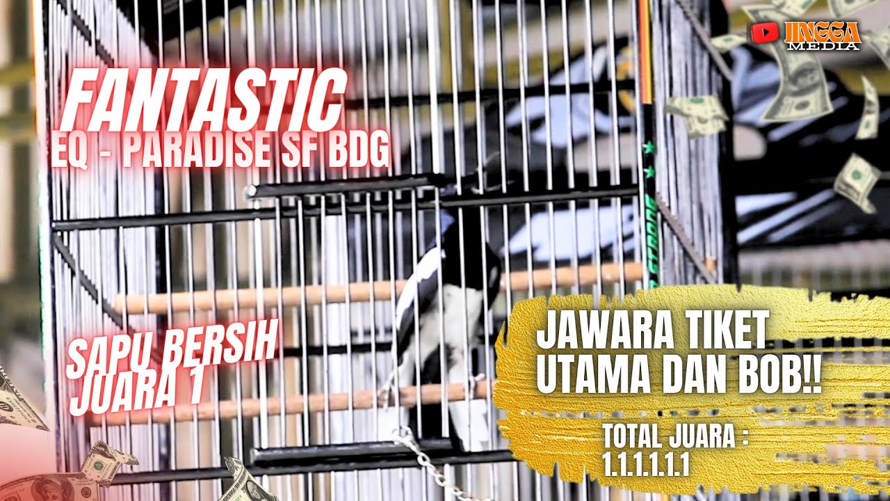 KACER FANTASTIC | SAPU BERSIH JUARA 1 SEBANYAK 6X | JUARA TIKET UTAMA DAN BOB