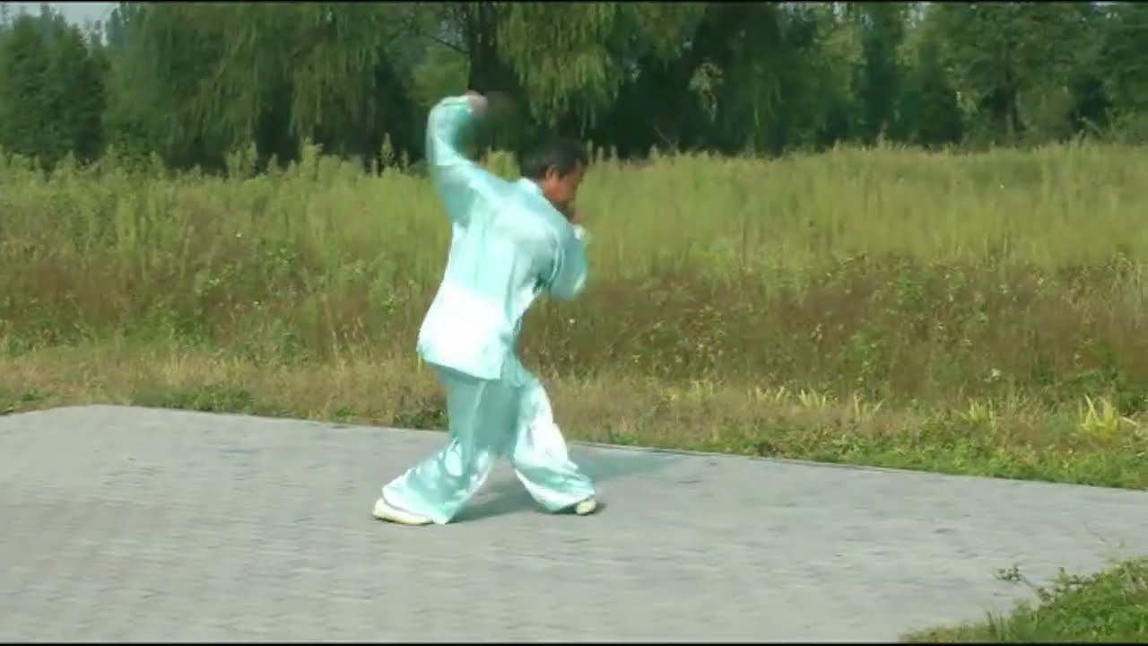 Liu Style -Yue Family Lian Quan 岳氏连拳
