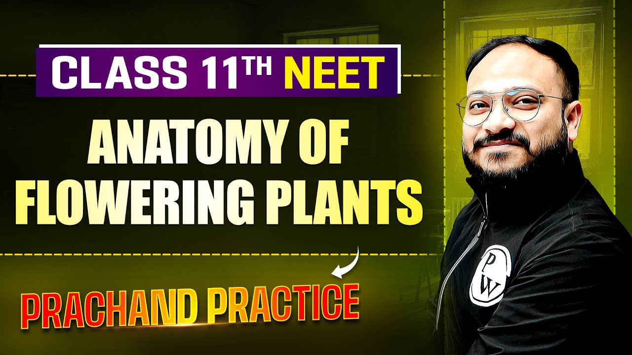 Anatomy of Flowering Plants PYQ's Video Solution | PRACHAND Practice Series | NEET 2025