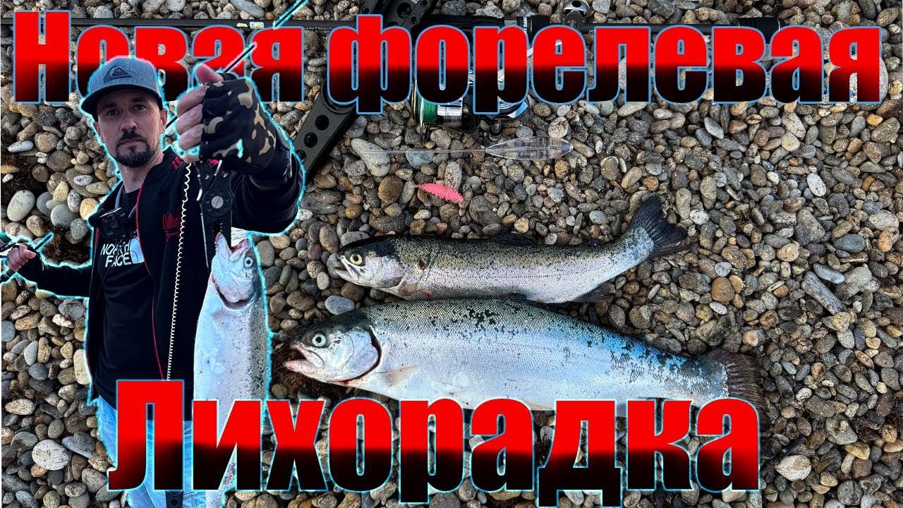 Новая форелевая лихорадка