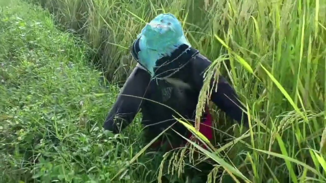 Life in the countryside | Slow Life in the countryside | Thailand's village lifestyle