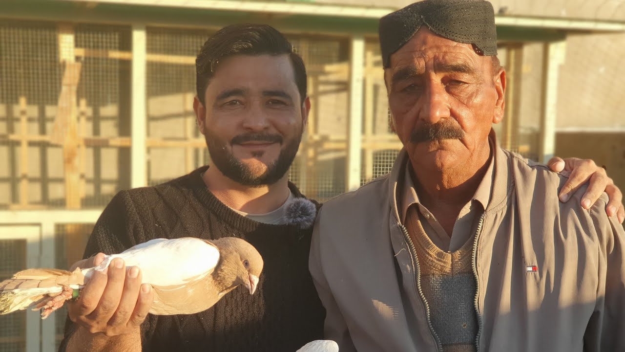 ارباب محمد رضا  ارباب لیاقت کا کہنا ہے ان کے پاس اعلی نسل کے 1000 قیمتی کبوتر ہیں علمدار روڈ کوئٹہ