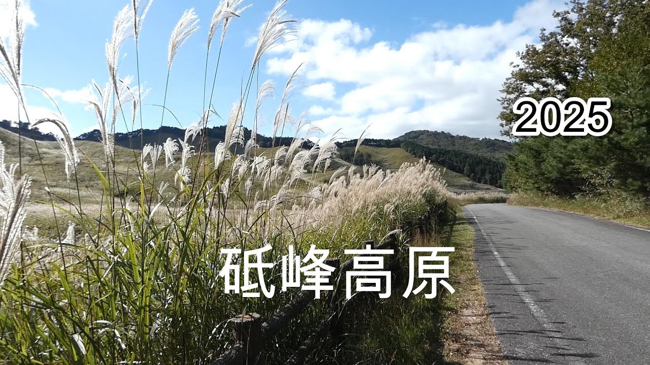 砥峰高原2025  #太田ダム～砥峰高原　＃とのみねこうげん　#ススキの草原 　兵庫県神崎郡　令和7年10月24日