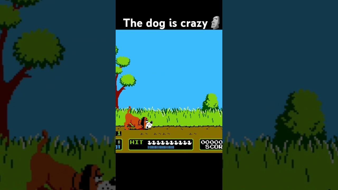 Nes gameplay | duck hunt 🗿