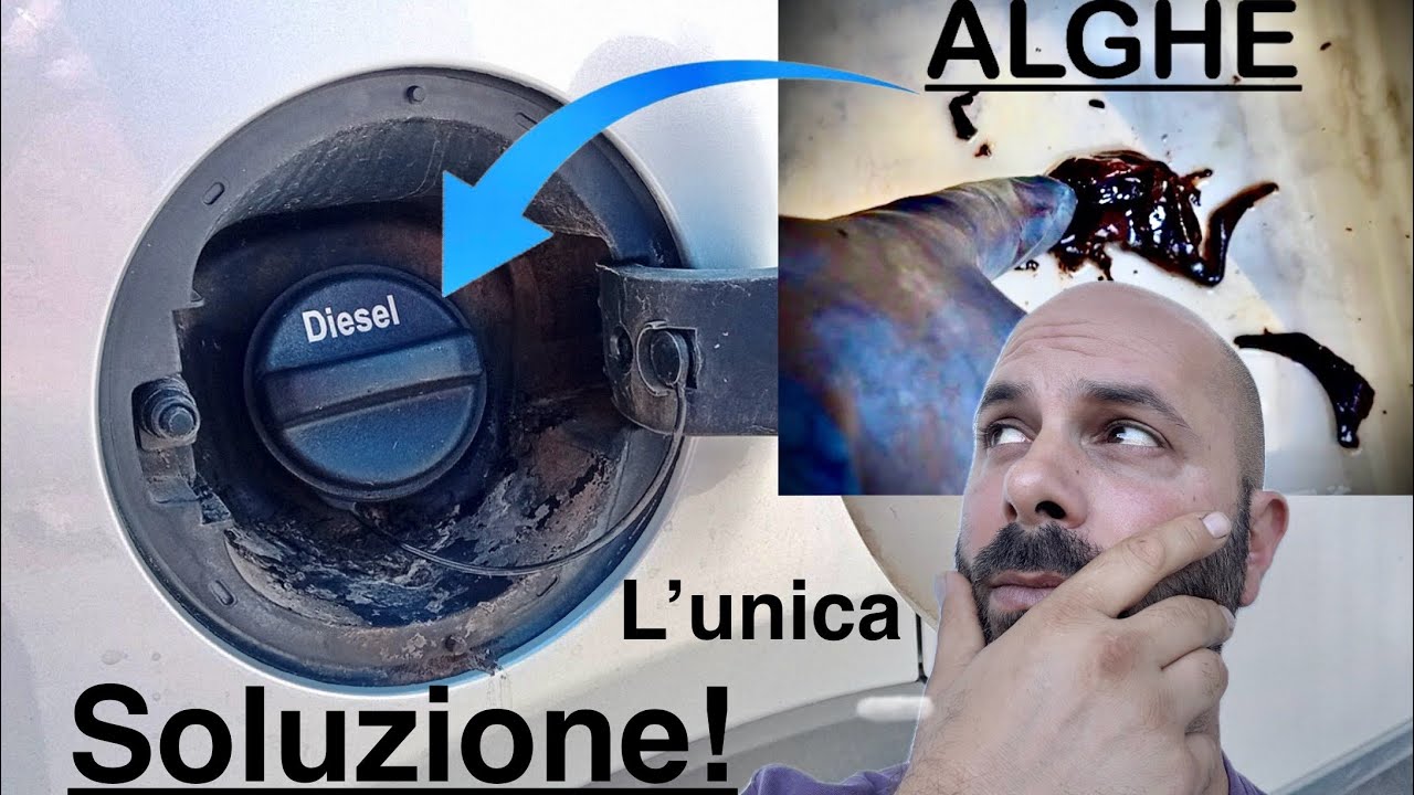 Le Alghe nel Diesel sono un serio problema!⚠️