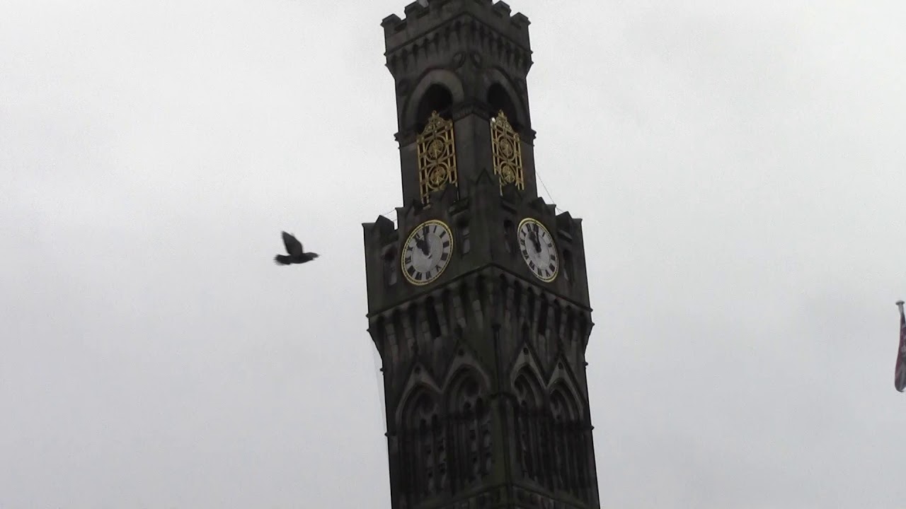 00004bradford city hall another newish tune at 11am morning