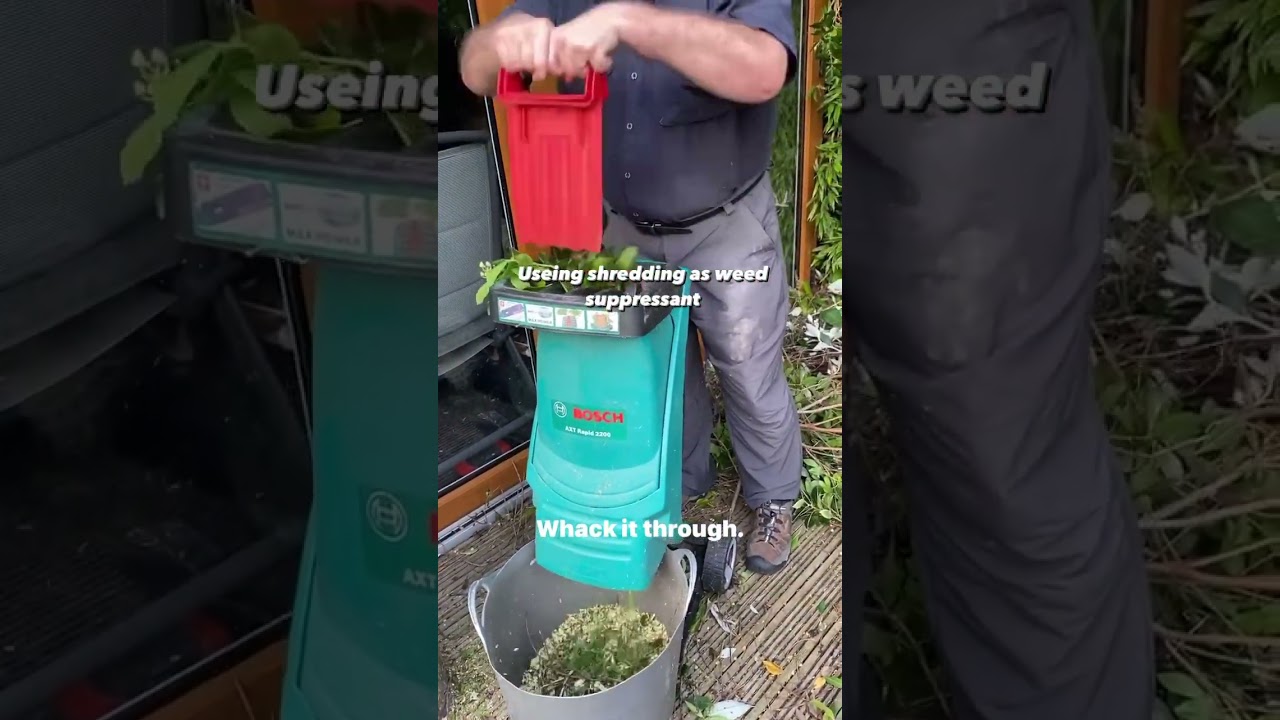 Useing shredding as weed suppressant #weeding #gardening #garden #plants  #gardentipsforbeginners