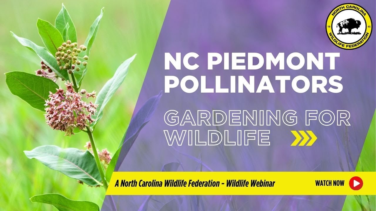 North Carolina Piedmont Pollinators and Gardening for Wildlife - North Carolina Wildlife Federation