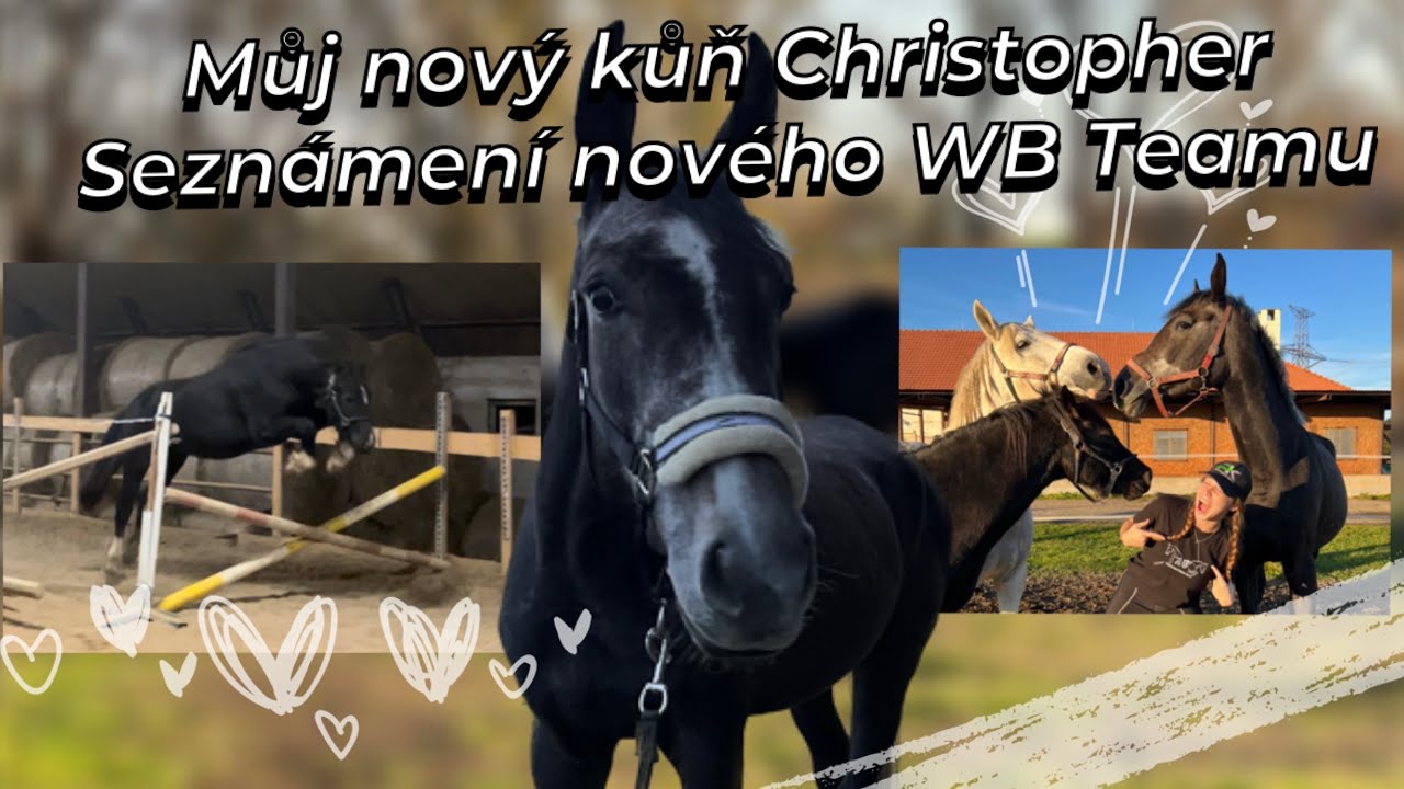 Vlog // Můj nový kůň Christopher, seznámení  nového White Brothers Teamu