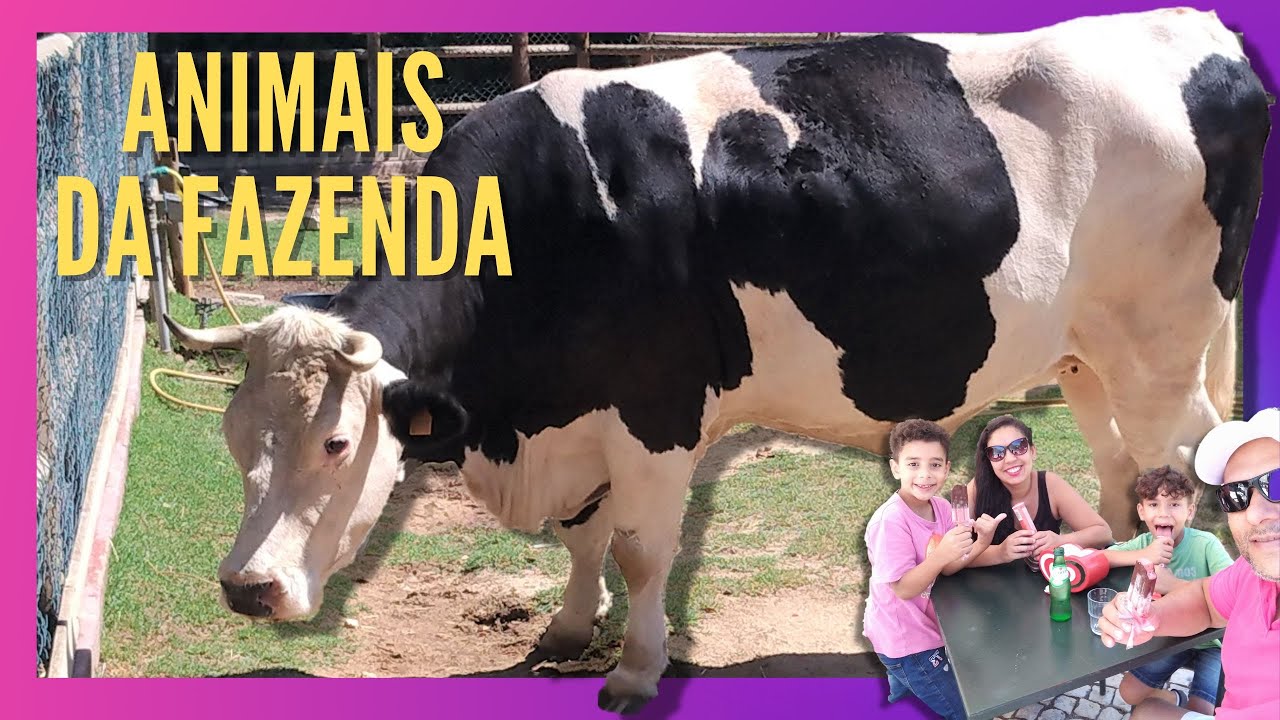 Animais da Fazenda | Visitamos a Quinta Pedagógica de Olivais #quintapedagogicaolivais