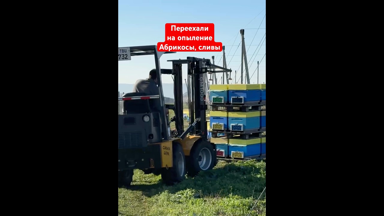 Начинаем перевозить пчел на опыление садов.
