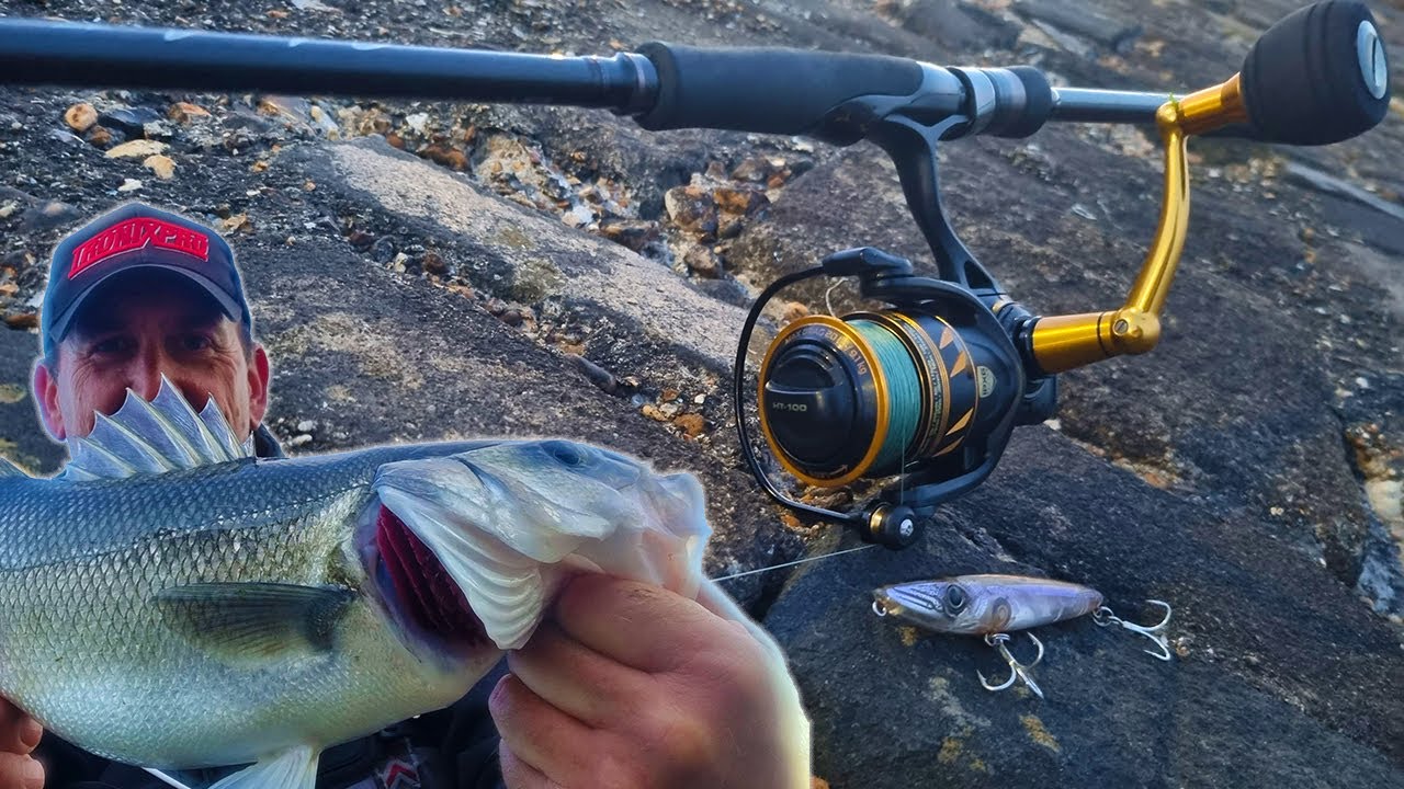 Top Water Bass Fishing With CRAZY Lure!