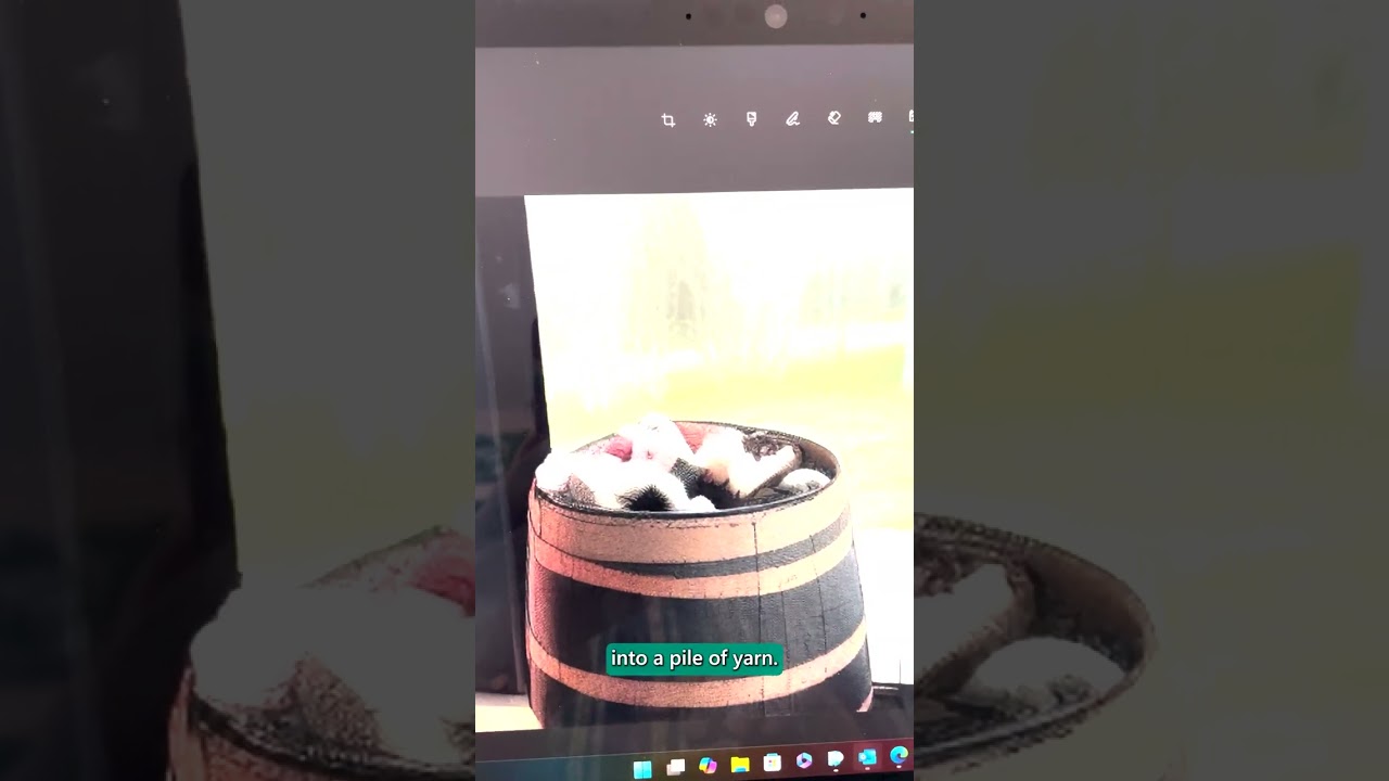 How to use AI Photo Editing in Windows!
