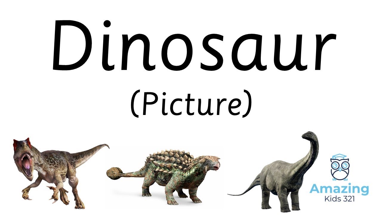 Flashcard – Dinosaur  – English (Picture) [(儿童闪卡) – 恐龙 – 英文，图片]