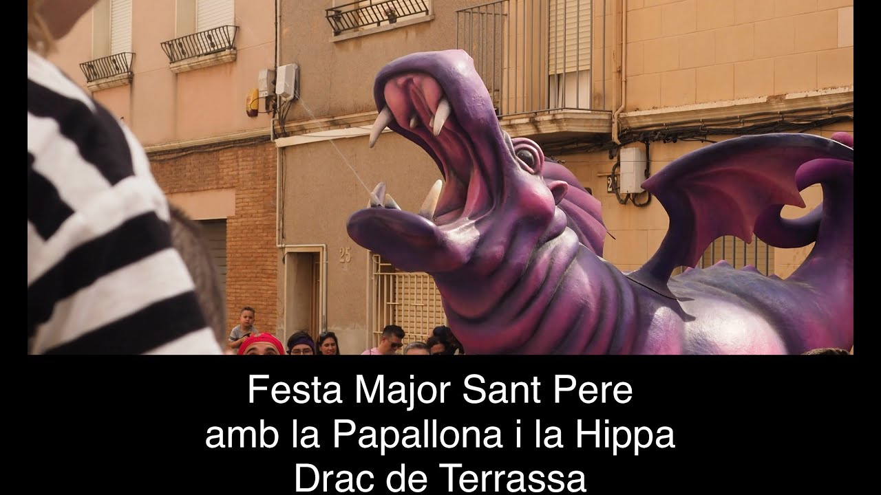 Festa Major de Sant Pere - Drac de Terrassa