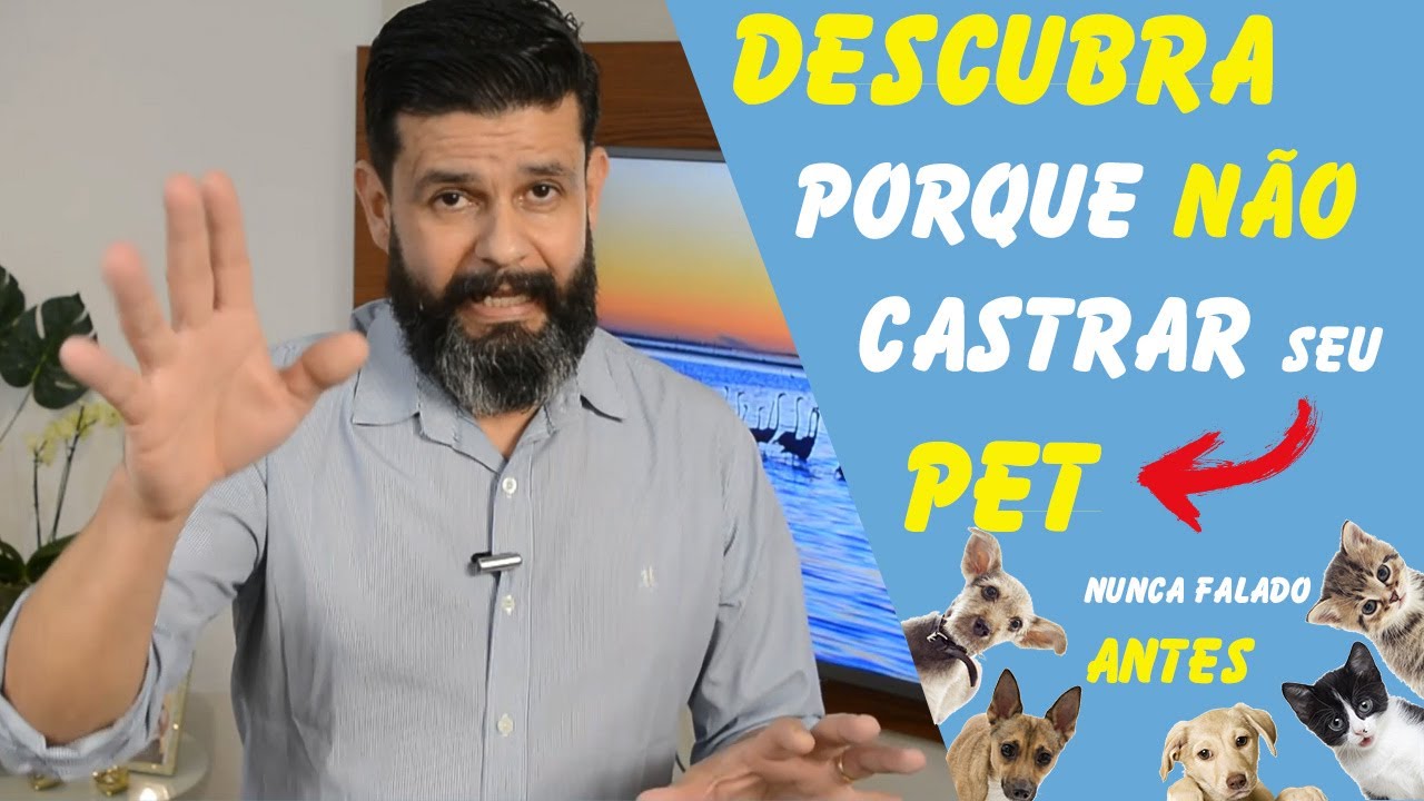 Descubra porque você não deve CASTRAR seu PET - Meu Amigo Pet