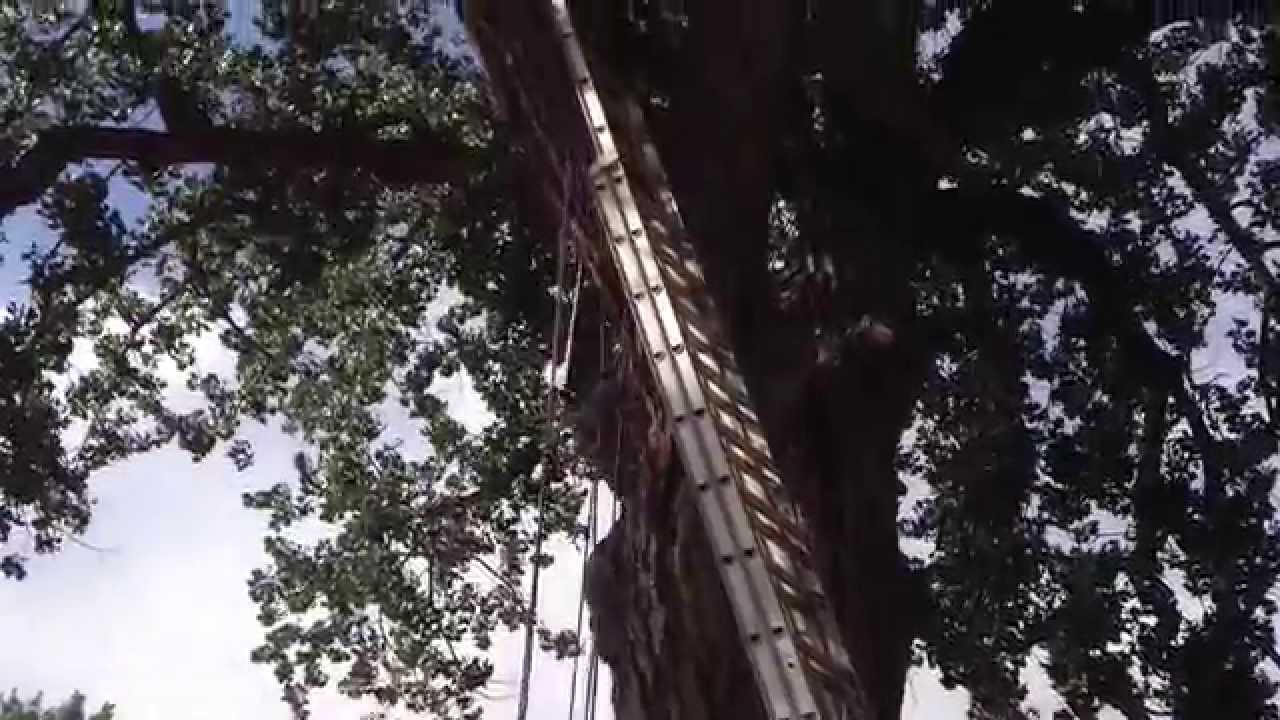 Hauling a pipe wrench up for treehouse bolts
