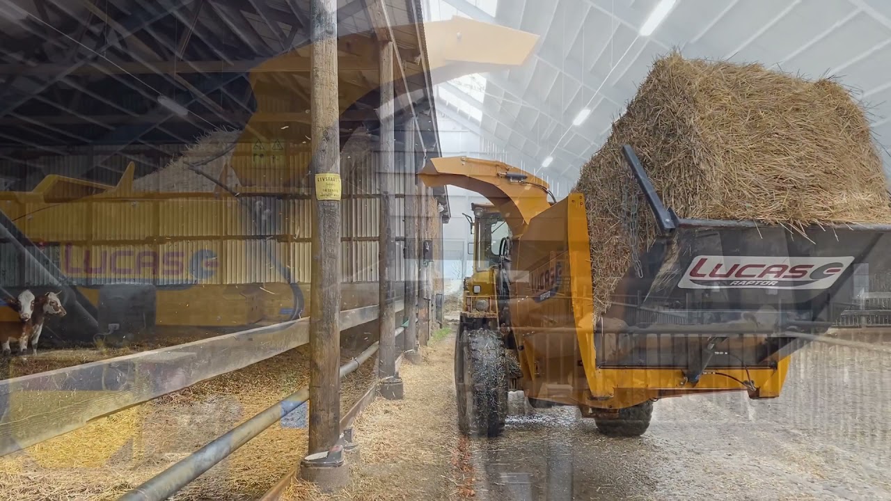 Köp Halmrivare Lucas Raptor Telehandler Stora BM på Klaravik