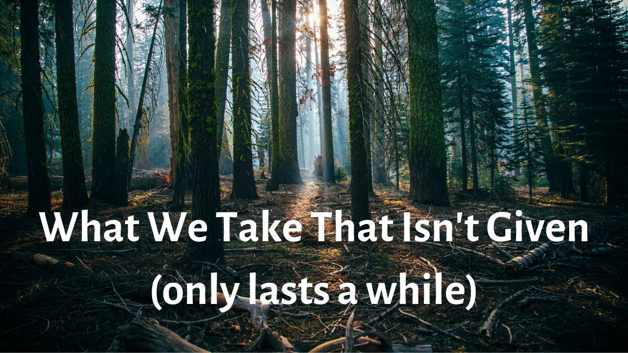 Burgs: What We Take That Isn't Given (only lasts a while)