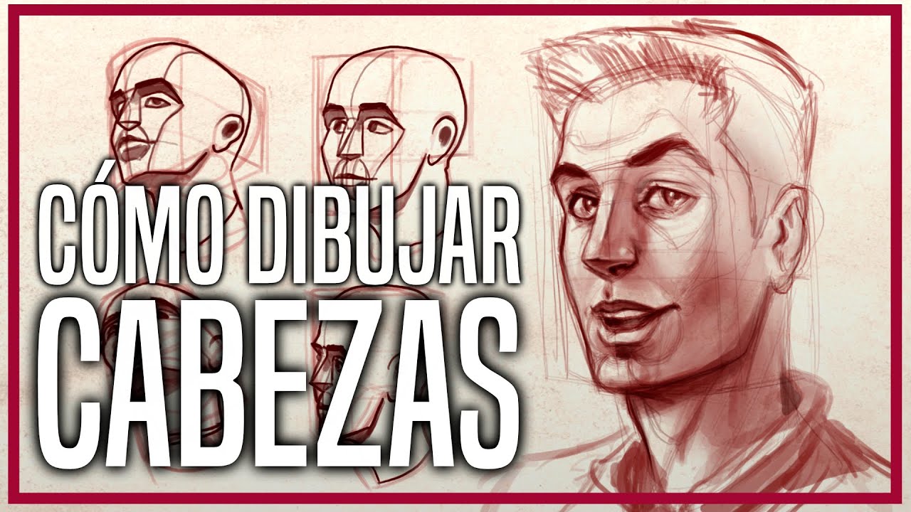 COMO DIBUJAR CABEZAS explicado paso a paso! esqueletos 3 dibujo de anatomía fácil