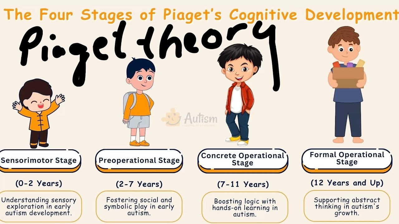 Piaget's Cognitive theory of development 📚  Stages Schema Adaptation Assimilation Accomodation