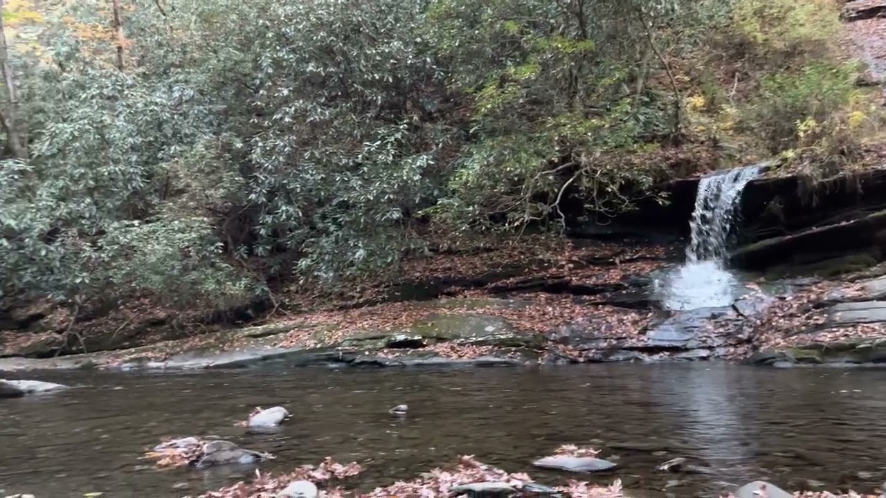 Tom Branch Falls In Smoky Mountains National Park
