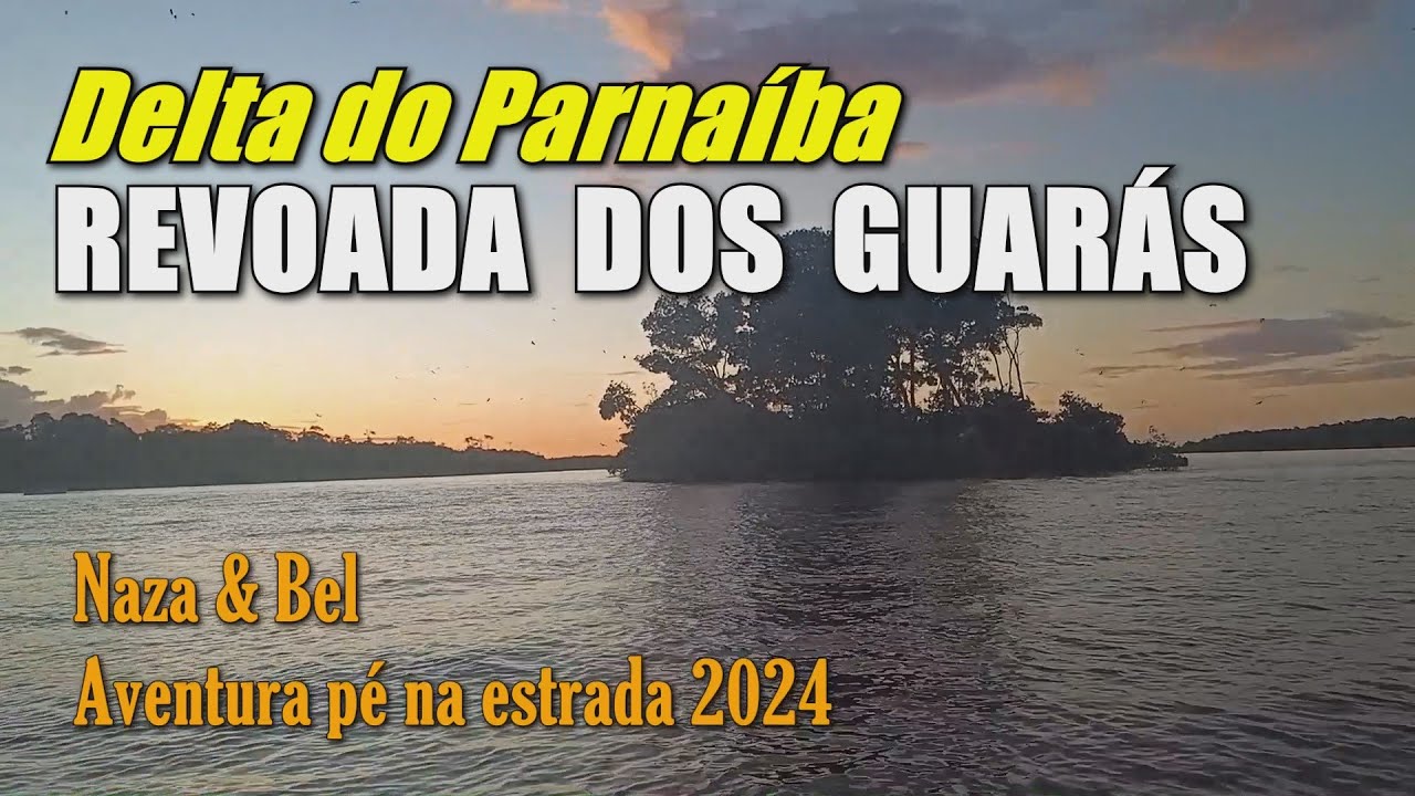 REVOADA DOS GUARÁS - Delta do Parnaíba