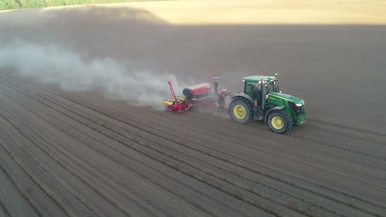 Napraforgó vetés 2024🌻 ⎮7250r+Vaderstad Tempo F8