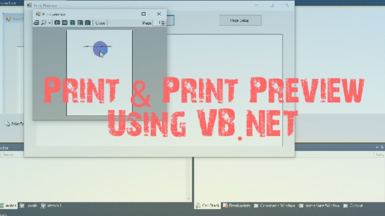 Print and Print Preview in VB.NET | How to create Print and Print Preview in VB.NET