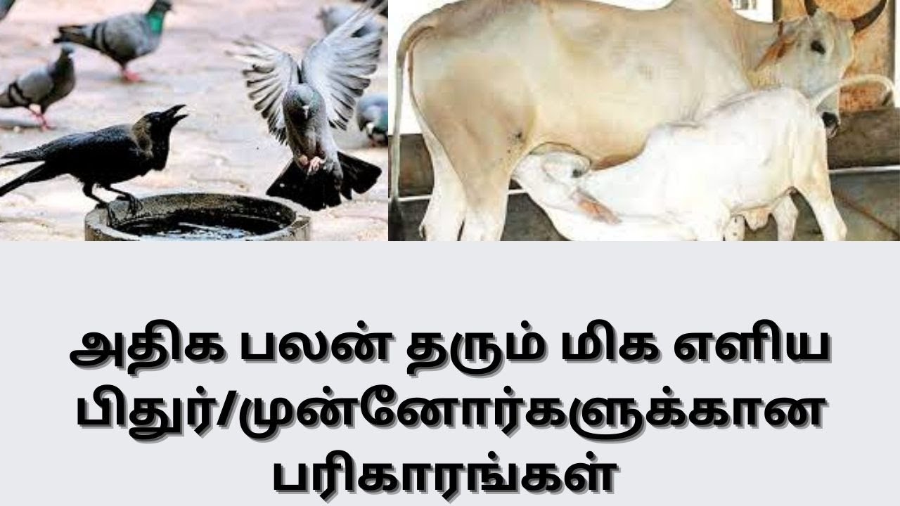 பித்ரு /முன்னோர்கள் தோஷம் தீர எளிய பரிகாரங்கள் | PITHRU DOSHAM REMEDIES | #pithrudosham #tamiltalker