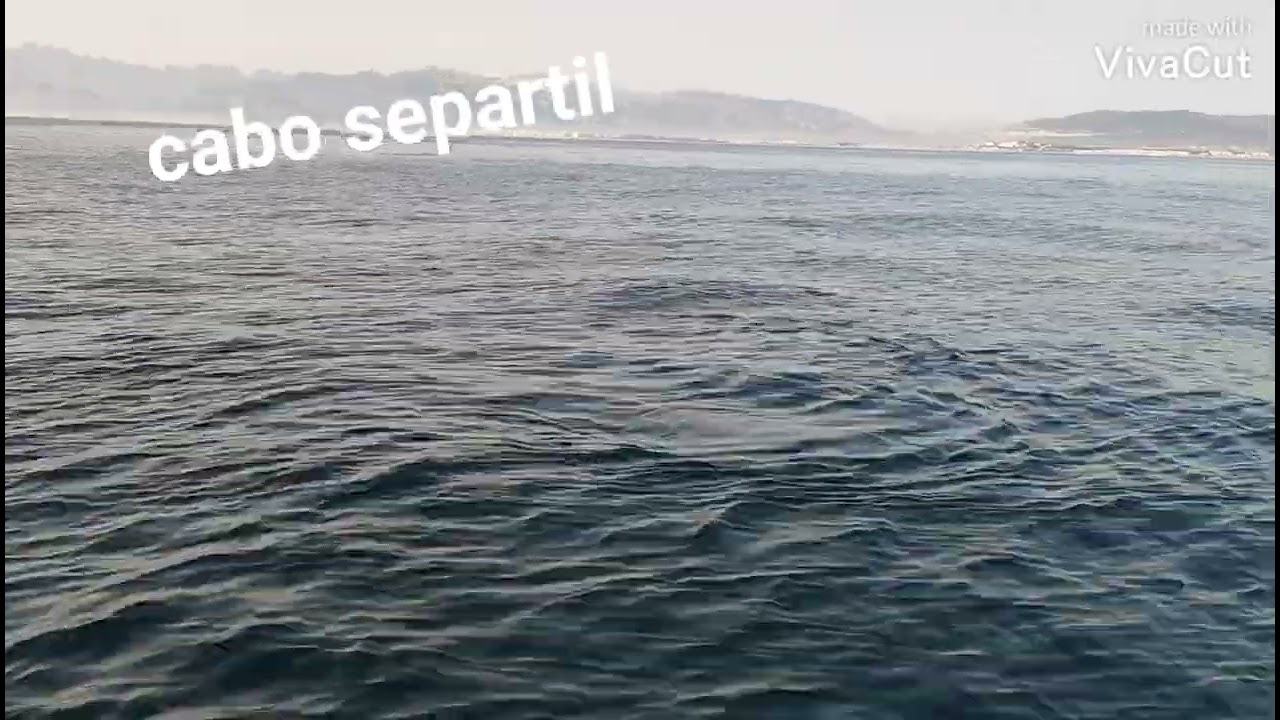 القرش الابيض العملاق يزور سواحل مدينة مرتيل شمال المملكة المغربية .