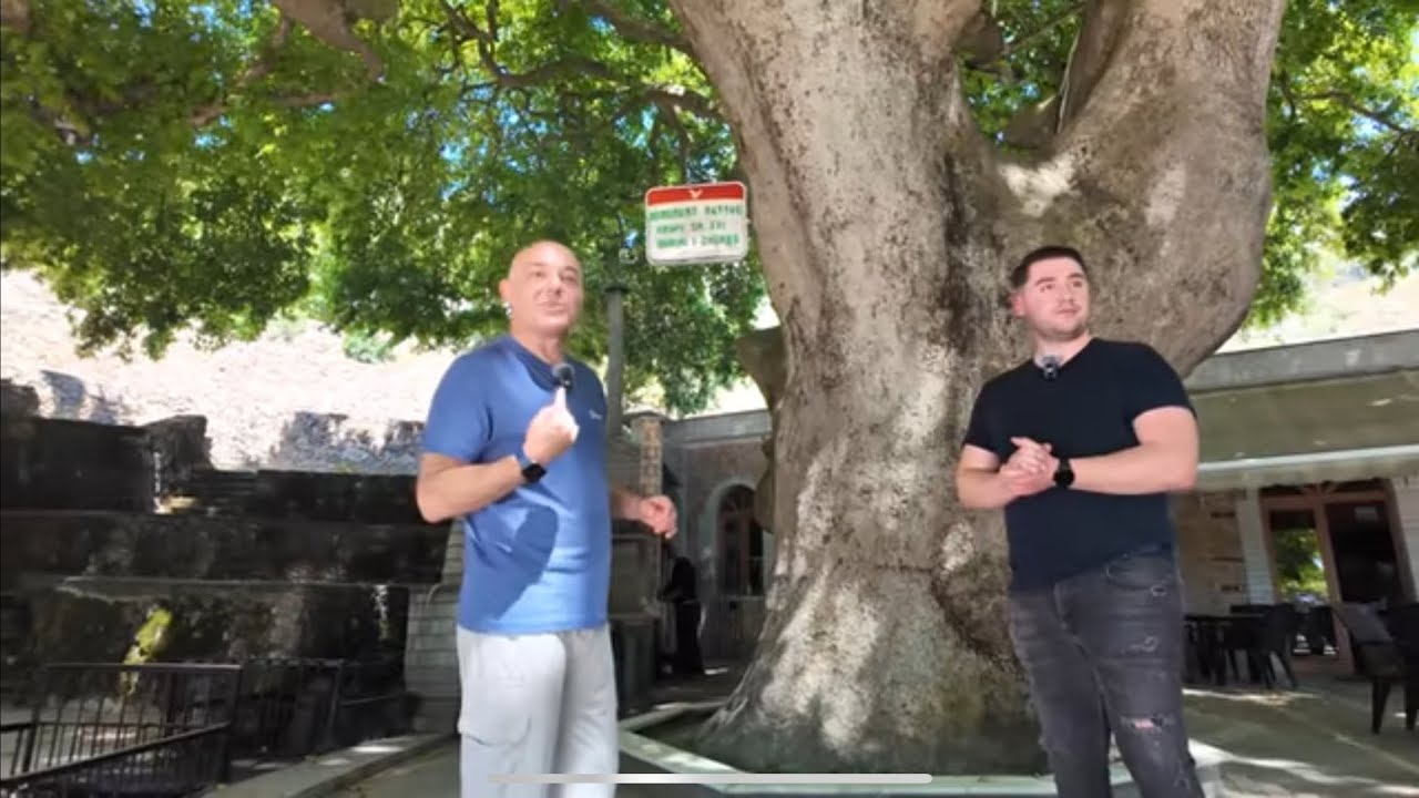 Blendi Fevziu | Mund te jete pema me e madhe ne Ballkan. 550 vjecar. Rrapi i Libohoves.