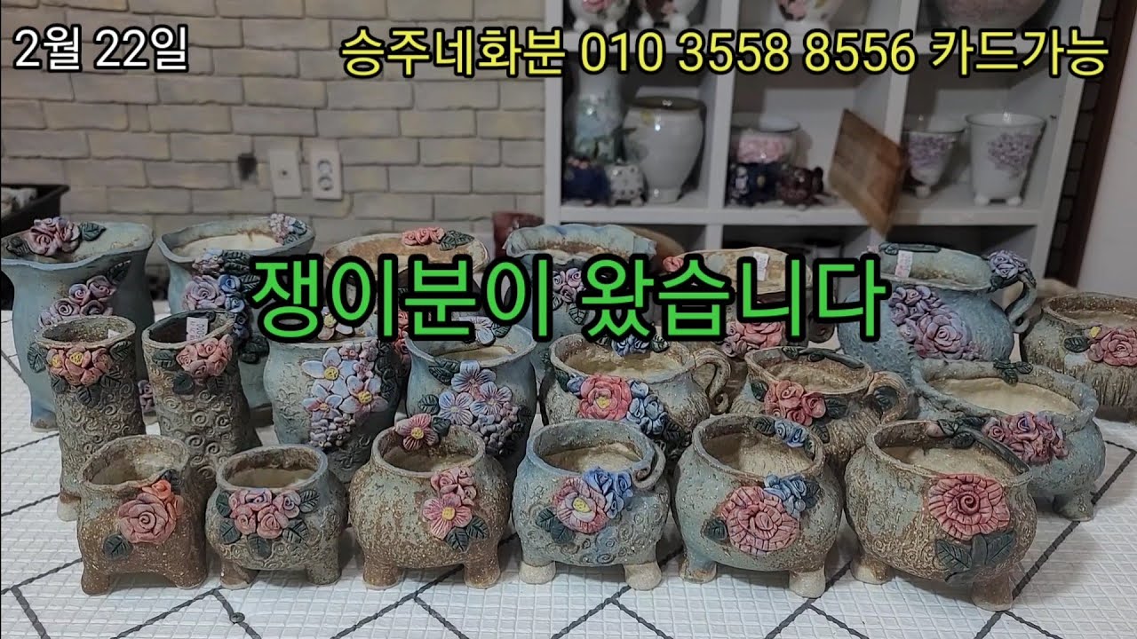 쟁이분이 왔습니다 #승주네화분 