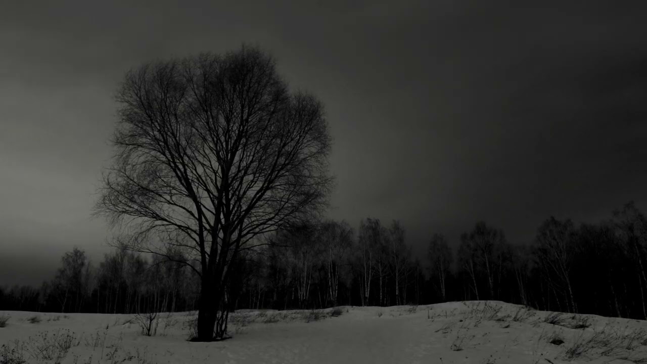 A quiet night... get sleep