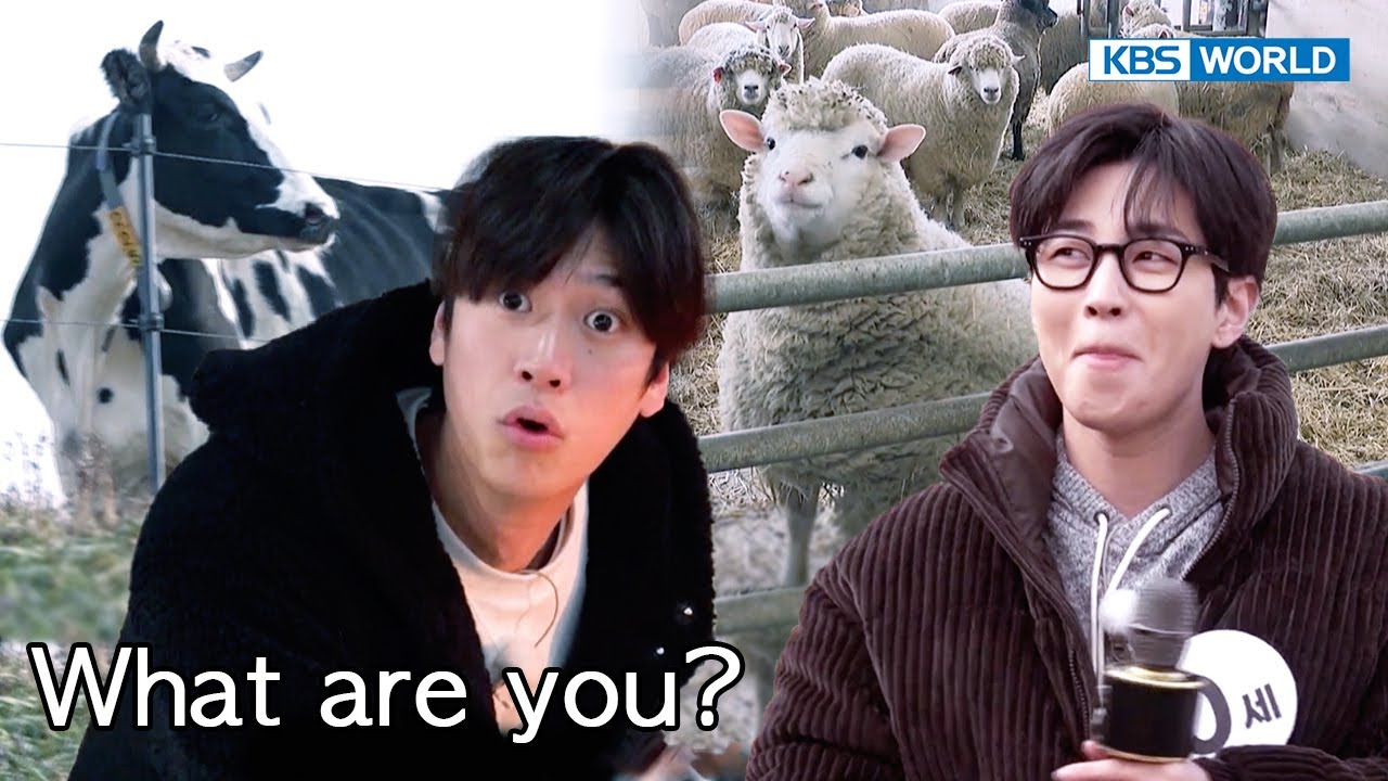 Crazy Inwoo with pure eyes is back🤪[Two Days and One Night 4 : Ep.161-2] | KBS WORLD TV 230205