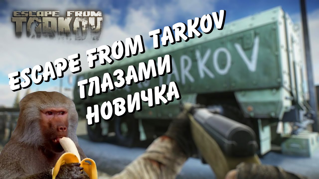 Глазами новичка 100 часов в Escape From Tarkov EFT