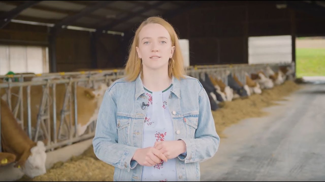 Stallgespr&auml;che: Marlene &uuml;ber 